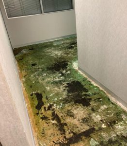 tenant-installations-1